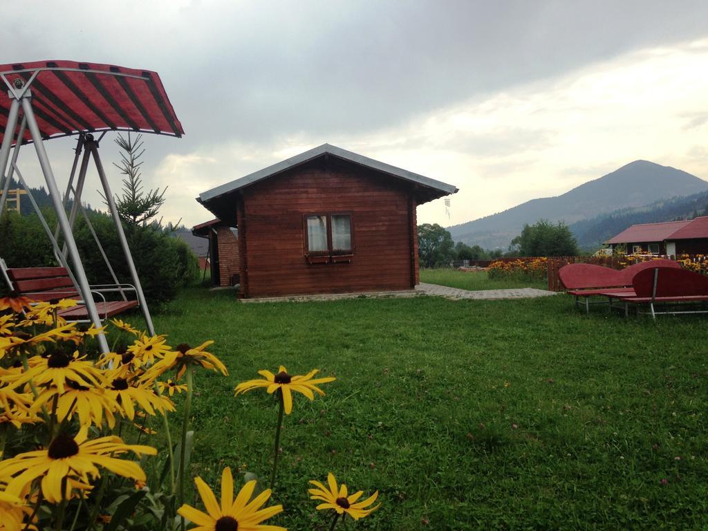 Pensiunea Gentiana Vatra Dornei Exterior foto