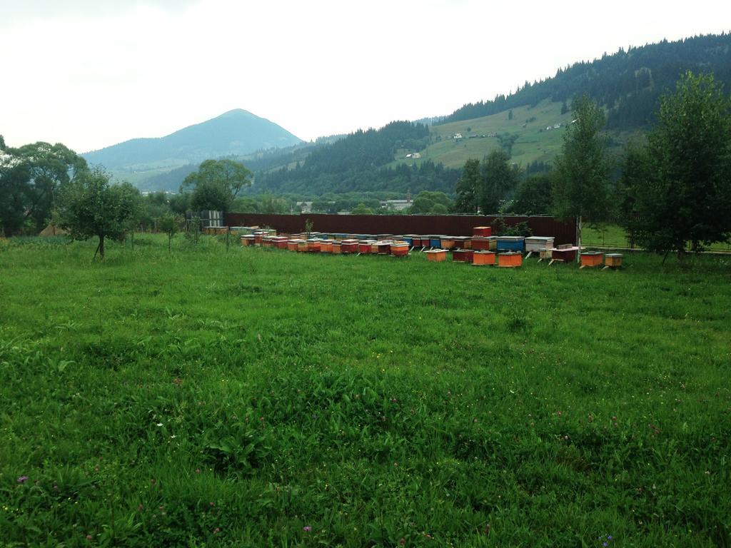 Pensiunea Gentiana Vatra Dornei Exterior foto