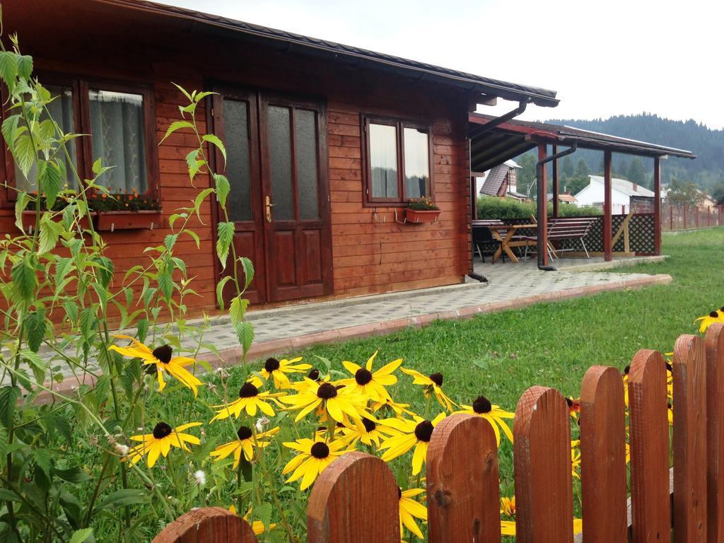 Pensiunea Gentiana Vatra Dornei Exterior foto